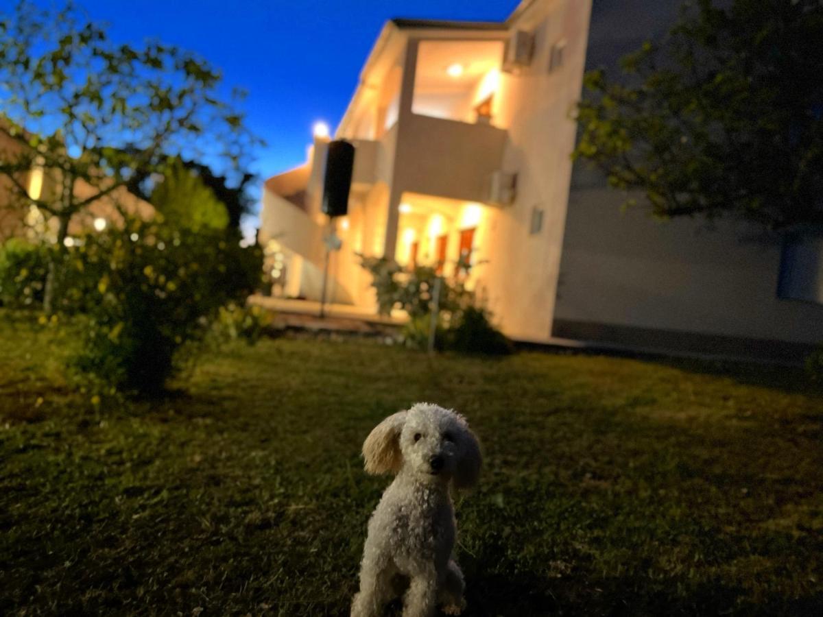 Apartments Fortuna Biograd Na Moru Exterior photo